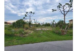 10610 RIVERSIDE ROAD, PORT CHARLOTTE, FL 33981 - MLS#MFRD6138408