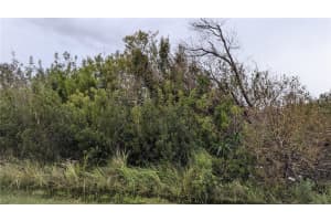 14303 CANDO AVENUE, PORT CHARLOTTE, FL 33981 - MLS#MFRD6138412