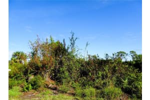 12242 WAGNER LANE, PORT CHARLOTTE, FL 33981 - MLS#MFRD6139095