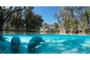 4224 DORCHESTER CIRCLE, DUNNELLON, FL 34433 Sold 02/15/25