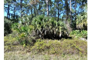 DAPHNE RD, NORTH PORT, FL 34288 - MLS#MFRD6139656