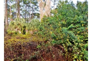 DAPHNE RD, NORTH PORT, FL 34288 - MLS#MFRD6139657