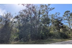 23313 WICKER AVENUE, PUNTA GORDA, FL 33980 Sold 05/12/25