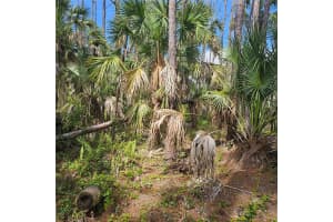 17408 INGLEWOOD AVENUE, PORT CHARLOTTE, FL 33954 Sold 06/11/25