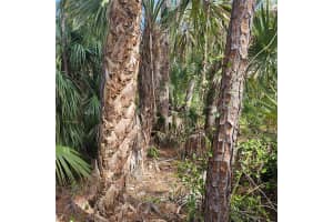 17408 INGLEWOOD AVENUE, PORT CHARLOTTE, FL 33954 Sold 06/11/25
