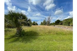 10093 HALLENDALE DRIVE, PORT CHARLOTTE, FL 33981 - MLS#MFRD6140663