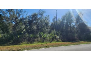 1173 BISCAYNE DRIVE, PORT CHARLOTTE, FL 33953 - MLS#MFRD6140728