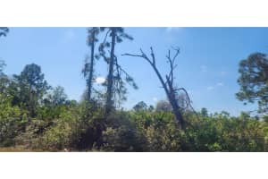 4163 HOLLYBROOK STREET, PORT CHARLOTTE, FL 33981 - MLS#MFRD6140814