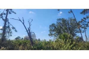 4163 HOLLYBROOK STREET, PORT CHARLOTTE, FL 33981 - MLS#MFRD6140814