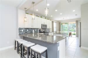 9936 SHELTERING SPRUCE STREET, ENGLEWOOD, FL 34223 Sold 04/18/25