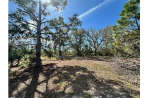11417 CLAGGETT AVENUE, PORT CHARLOTTE, FL 33981 - MLS#MFRD6141039