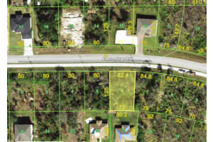 14379 SAN DOMINGO BOULEVARD, PORT CHARLOTTE, FL 33981 - MLS#MFRD6141177
