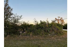 12204 ZITTLE AVENUE, PORT CHARLOTTE, FL 33981 - MLS#MFRD6141298