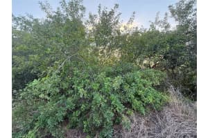 146 PATTON AVE, LAKE PLACID, FL 33852 - MLS#MFRD6141635