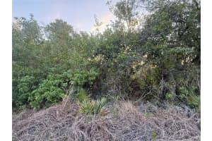 146 PATTON AVE, LAKE PLACID, FL 33852 - MLS#MFRD6141635