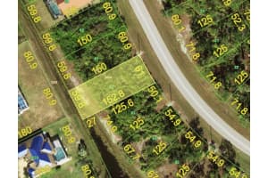 267 ANTIS DRIVE, ROTONDA WEST, FL 33947 - MLS#MFRD6141678