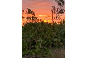 197 JADE STREET, ROTONDA WEST, FL 33947 - MLS#MFRD6141750