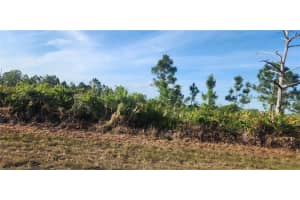 12092 BEIMAN AVENUE, PORT CHARLOTTE, FL 33981 - MLS#MFRD6142215
