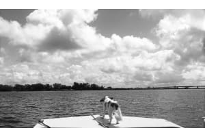 15447 ARON CIRCLE, PORT CHARLOTTE, FL 33981 - MLS#MFRD6142254