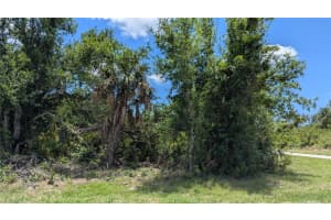 10017 COCOA BEACH STREET, PORT CHARLOTTE, FL 33981 - MLS#MFRD6142345