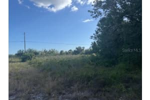 LOT #4 DURANGO AVENUE, NORTH PORT, FL 34287 - MLS#MFRD6142370