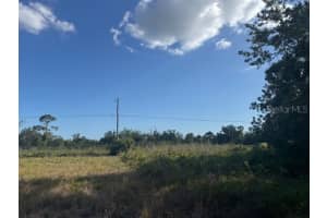 LOT #4 DURANGO AVENUE, NORTH PORT, FL 34287 - MLS#MFRD6142370