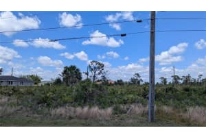 13474 ABUTILON LANE, PORT CHARLOTTE, FL 33981 - MLS#MFRD6142371