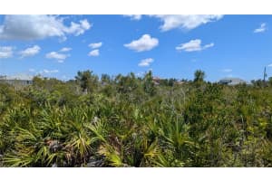 13485 ABUTILON LANE, PORT CHARLOTTE, FL 33981 - MLS#MFRD6142381