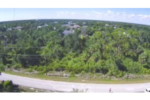 13371 PACE CIRCLE, PORT CHARLOTTE, FL 33981 - MLS#MFRD6142427