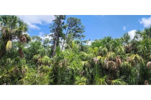 436 HUTCHINS STREET, PORT CHARLOTTE, FL 33953 - MLS#MFRD6142624