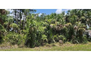 436 HUTCHINS STREET, PORT CHARLOTTE, FL 33953 - MLS#MFRD6142624