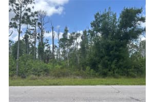 14309 SANILAC AVENUE, PORT CHARLOTTE, FL 33981 - MLS#MFRD6142681