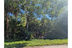 16506 MCLAURY AVENUE, PORT CHARLOTTE, FL 33954 - MLS#MFRD6142756