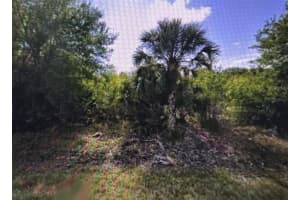 11443 3RD AVENUE, PUNTA GORDA, FL 33955 - MLS#MFRD6142772