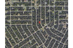 1113 SHERWIN STREET, PORT CHARLOTTE, FL 33953 - MLS#MFRD6142875