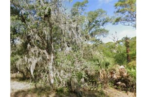 1113 SHERWIN STREET, PORT CHARLOTTE, FL 33953 - MLS#MFRD6142875