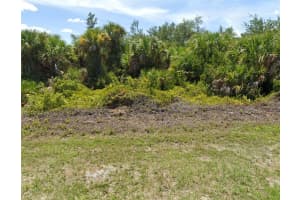 10059 HACKENSACK STREET, PORT CHARLOTTE, FL 33981 - MLS#MFRD6142904