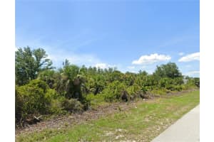 10059 HACKENSACK STREET, PORT CHARLOTTE, FL 33981 - MLS#MFRD6142904