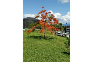 15616 LAKELAND CIR, PORT CHARLOTTE, FL 33981 Sold 09/10/25