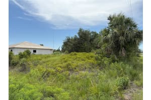 13257 BLAKE DRIVE, PORT CHARLOTTE, FL 33981 - MLS#MFRD6143035