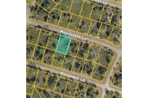 MORRISETTE LN, NORTH PORT, FL 34288 - MLS#MFRD6143075