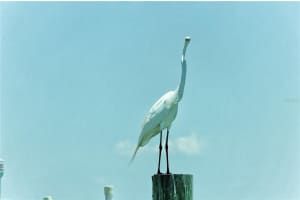 6040 BOCA GRANDE CAUSEWAY, BOCA GRANDE, FL 33921 - MLS#MFRD6143184