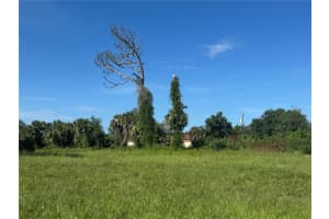 263 WHITE MARSH LANE, ROTONDA WEST, FL 33947 - MLS#MFRD6143185