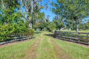 3193 SW COUNTY ROAD 661, ARCADIA, FL 34266 - MLS#MFRD6143239