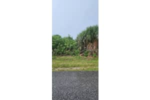 8183 CLYDE CIRCLE, PORT CHARLOTTE, FL 33981 - MLS#MFRD6143384