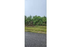 8183 CLYDE CIRCLE, PORT CHARLOTTE, FL 33981 - MLS#MFRD6143384