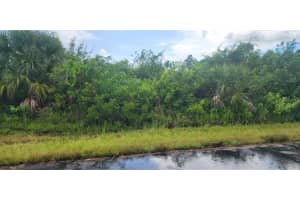 12170 ZITTLE AVENUE, PORT CHARLOTTE, FL 33981 - MLS#MFRD6143387
