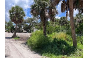 8080 LITTLE GASPARILLA ISLAND, PLACIDA, FL 33946 - MLS#MFRD6143467
