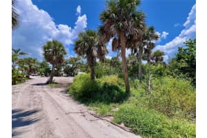 8080 LITTLE GASPARILLA ISLAND, PLACIDA, FL 33946 - MLS#MFRD6143467