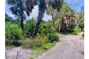8132 LITTLE GASPARILLA ISLAND, PLACIDA, FL 33946 - MLS#MFRD6143500